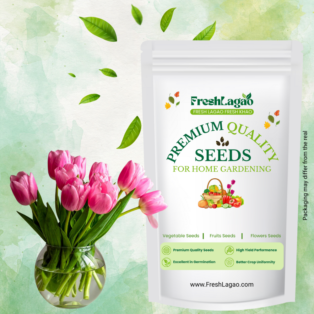 Tulip Claudia (Pink) Flower Bulbs