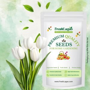 Tulip White Flower Bulbs