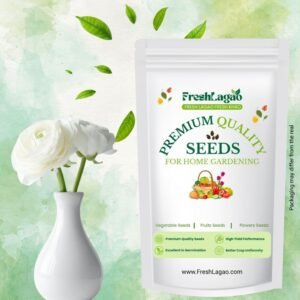 Ranunculus White Flower Bulbs