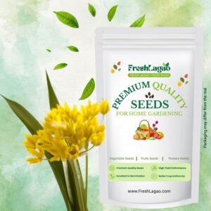 Allium Molly (Yellow) Flower