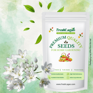 Allium Cowanii (White) Flower