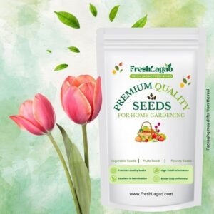 Tulip Happy Generation Flower