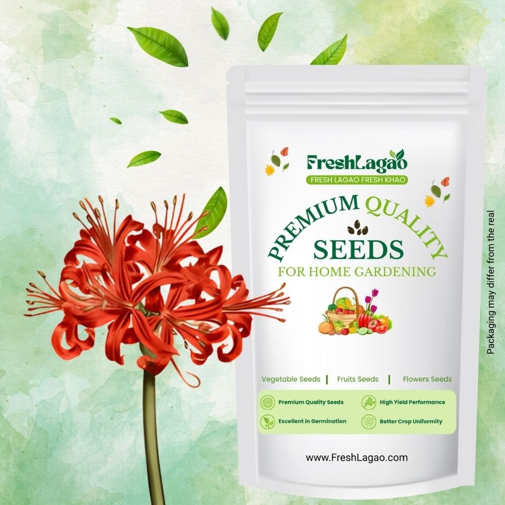 Spider lily Red Flower Bulbs