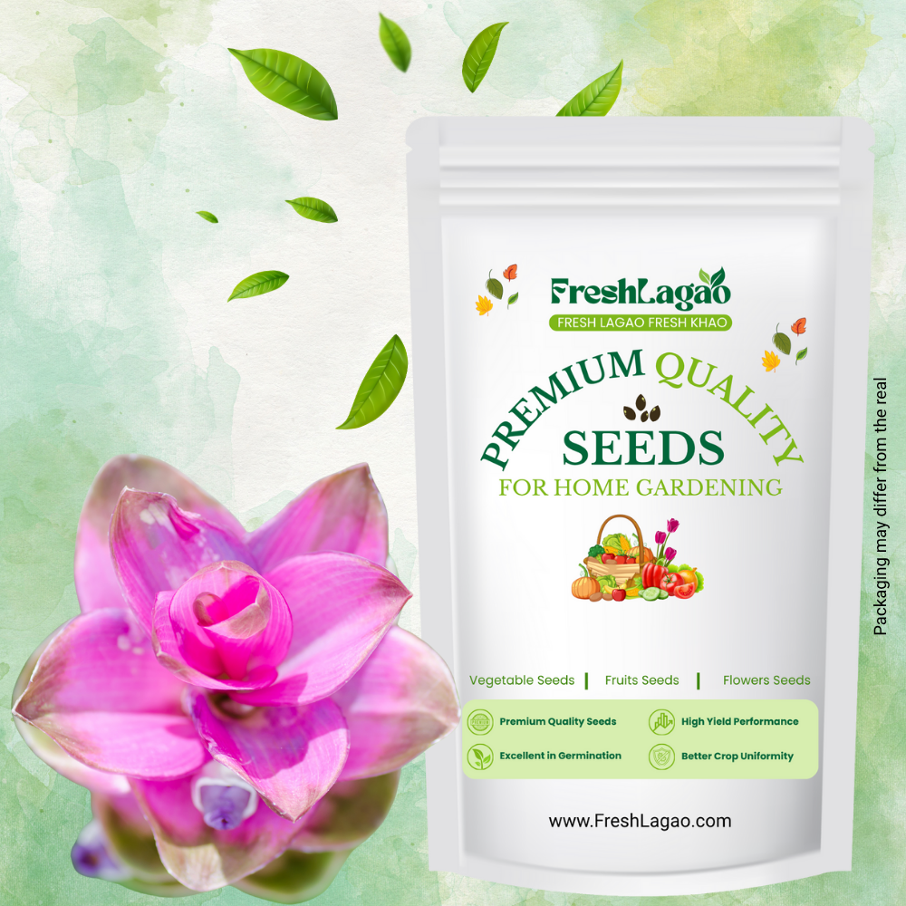 Curcuma Pink Flower Bulb