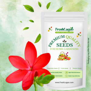 Ixia Red Flower Bulbs