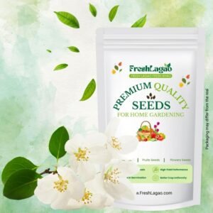 Eucharis Amazonica Flower Bulbs