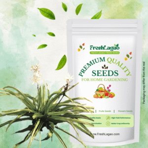 Safed Musli Bulbs Seeds