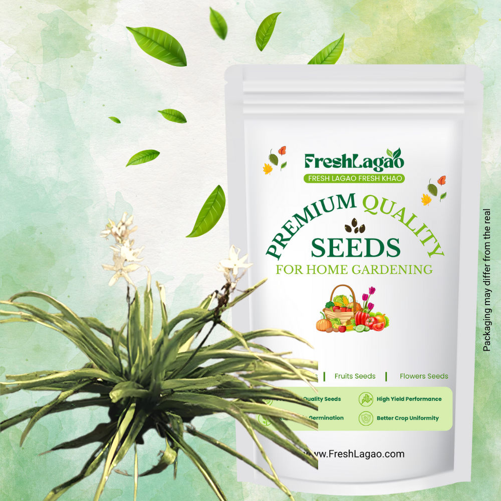 Safed Musli Bulbs Seeds