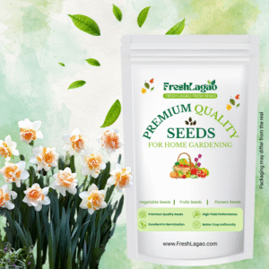 Narcissus Replete Flower Bulbs (05 Bulbs)