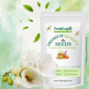 Freesia White Flower Bulbs