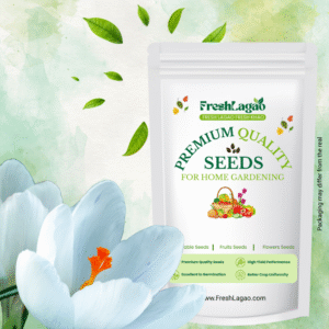 Crocus Jeanne D’arc (White)