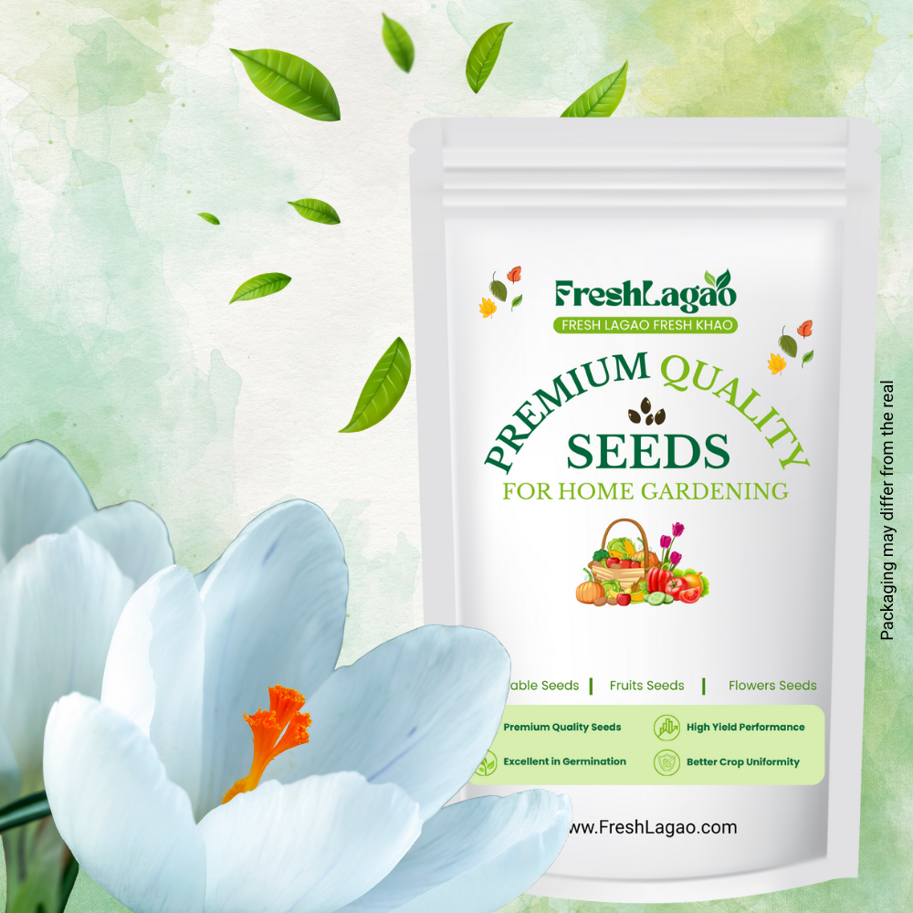 Crocus Jeanne D'arc (White)