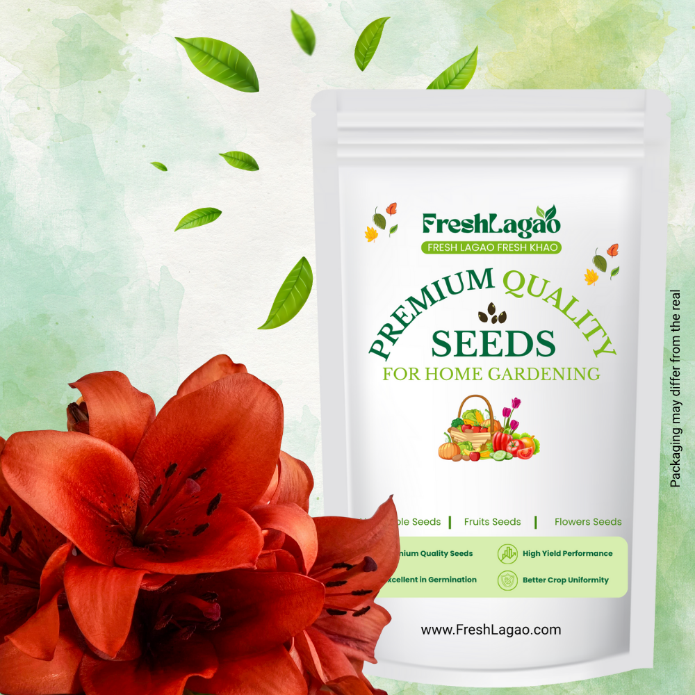 Asiatic (Lilium) Lily Red Flower Bulbs Sale