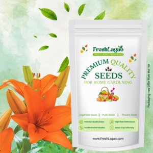 Asiatic (Lilium) Lily Orange Flower Bulbs