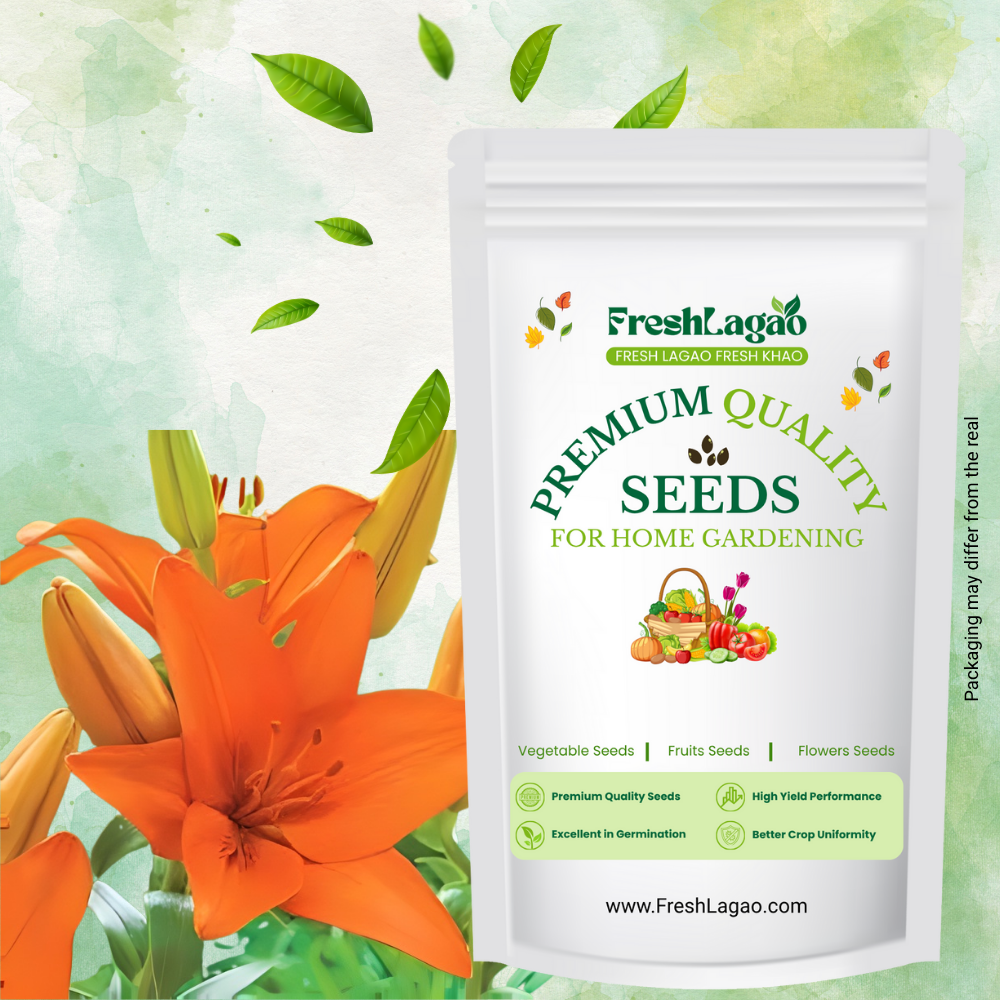 Asiatic (Lilium) Lily Orange Flower Bulbs