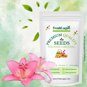 Asiatic (Lilium) Lily Pink Flower Bulbs