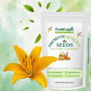 Asiatic (Lilium) Lily Yellow