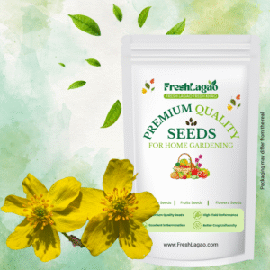 Anemone Yellow Wood Flower Bulbs Sale