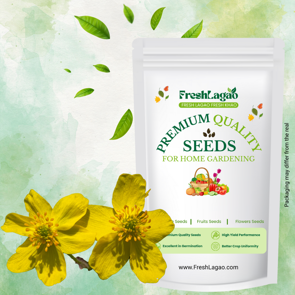 Anemone Yellow Wood Flower Bulbs Sale