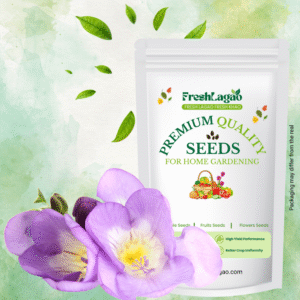 Freesia Purple Flower Bulbs