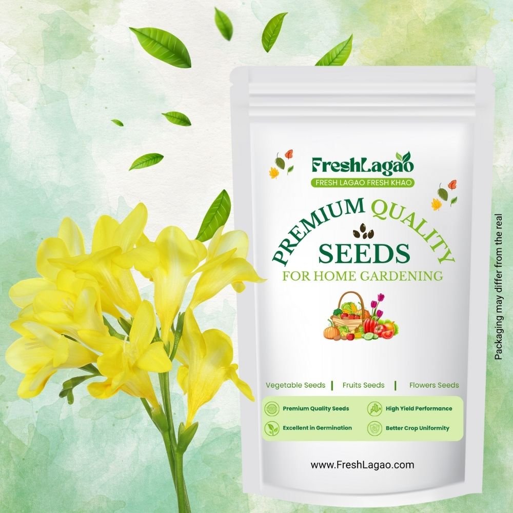 Freesia Yellow Flower Bulbs