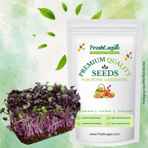 Knol Khol Purple Microgreen