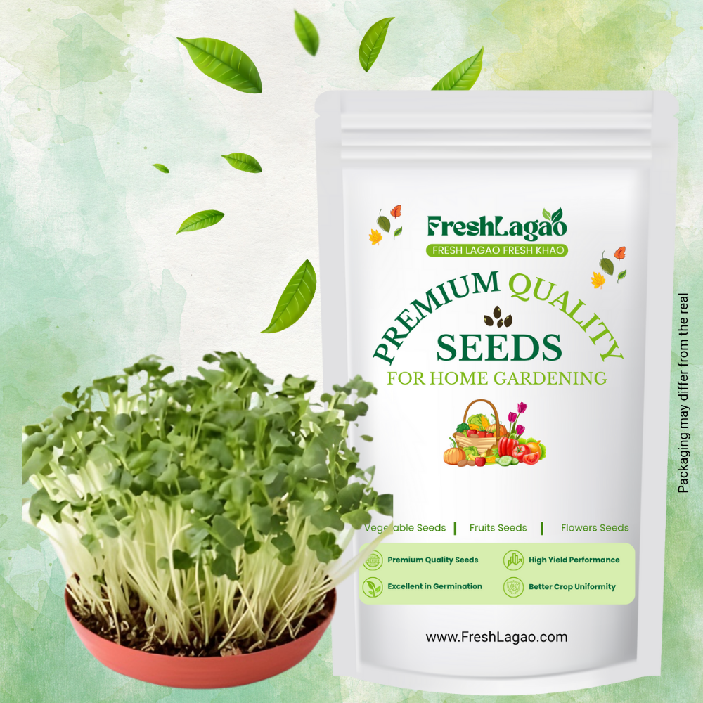 Fenugreek Microgreens Seeds
