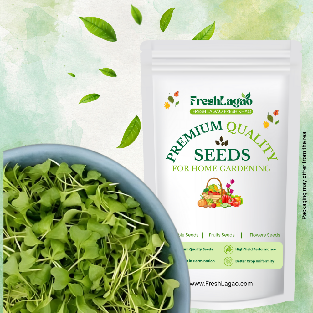 Collard Green Microgreen