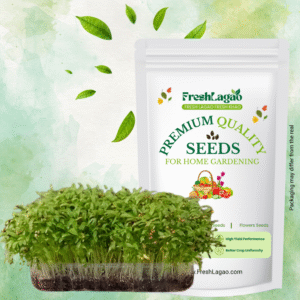 Coriander Microgreen Seeds