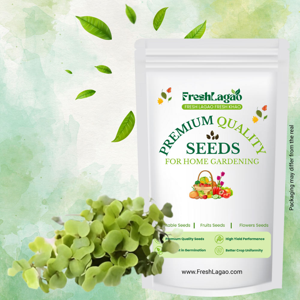 Kale Green Microgreen Seeds