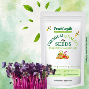 Kale Purple Microgreen Seeds (20g)