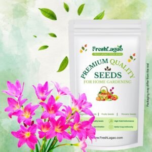 Rain Lily Rose Flower Bulbs