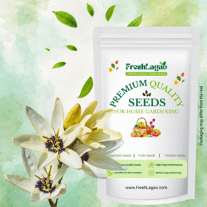 Ixia White Flower Bulbs (05