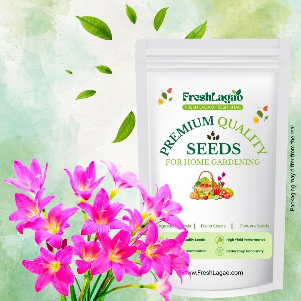 Rain Lily Rose Flower Bulbs