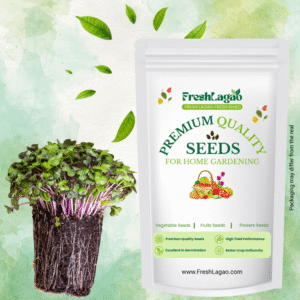 Cabbage Microgreen Seeds