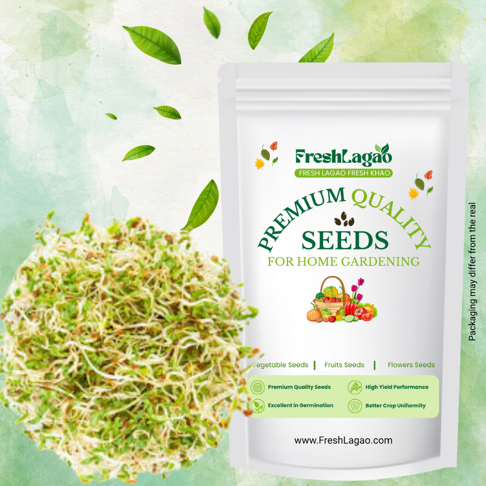 Alfalfa Microgreen Seeds