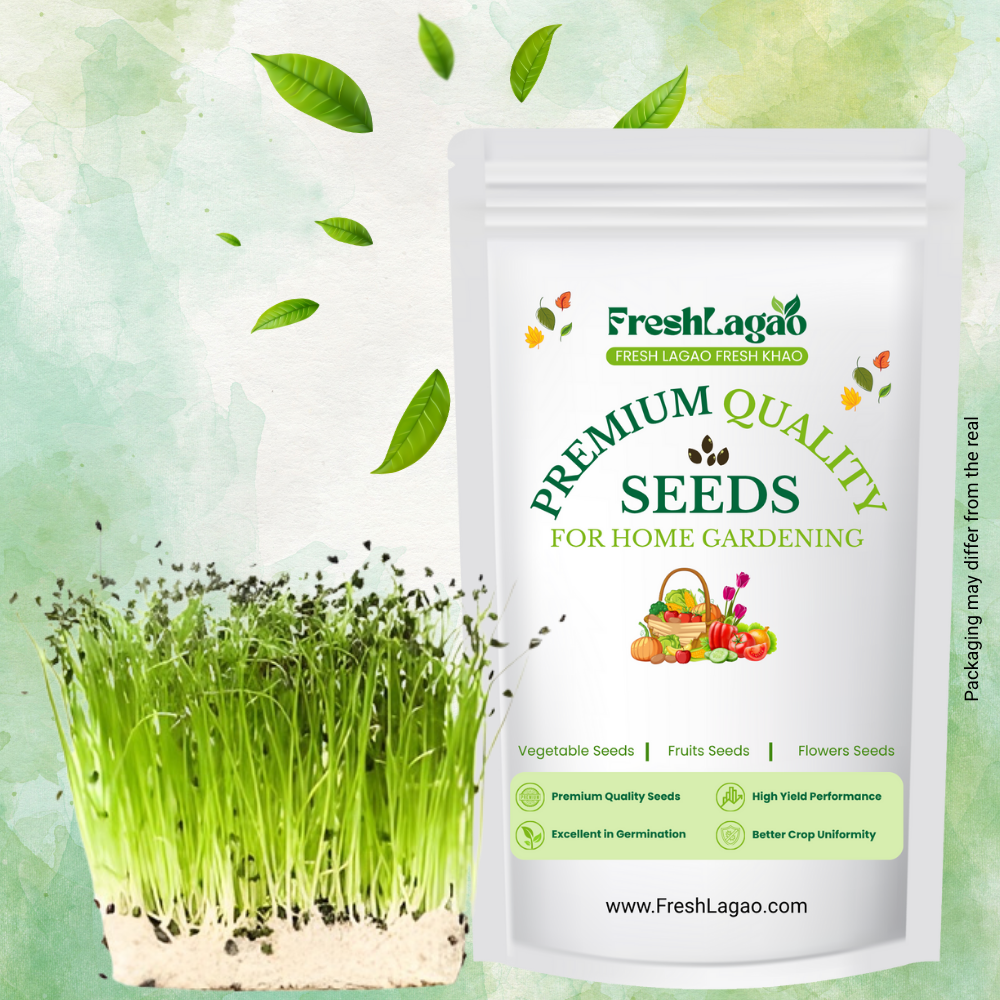 Onion Microgreen Seeds