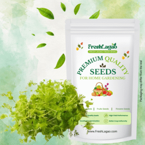 Carrot Microgreen Seeds (20g)