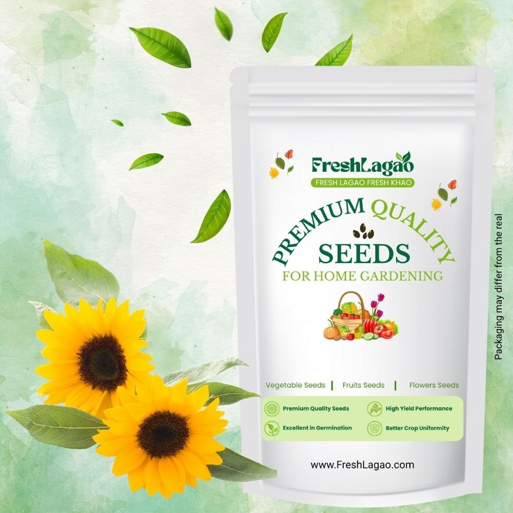 Ixia Yellow Flower Bulbs