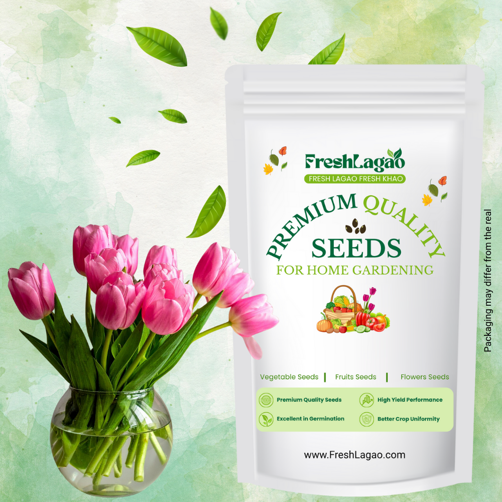 Tulip Pink Flower Bulbs