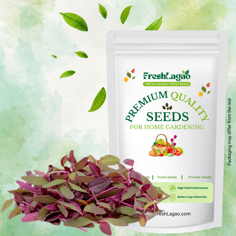 Red Amaranth Microgreen Seeds