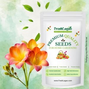 Freesia Orange Flower Bulbs