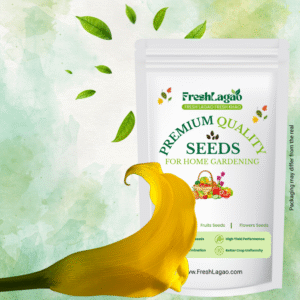 Calla Lily Yellow Flower Bulbs