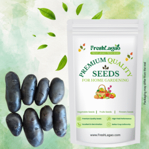 Black Potato Seeds For Kitchen/Terrace Gardening (900g)