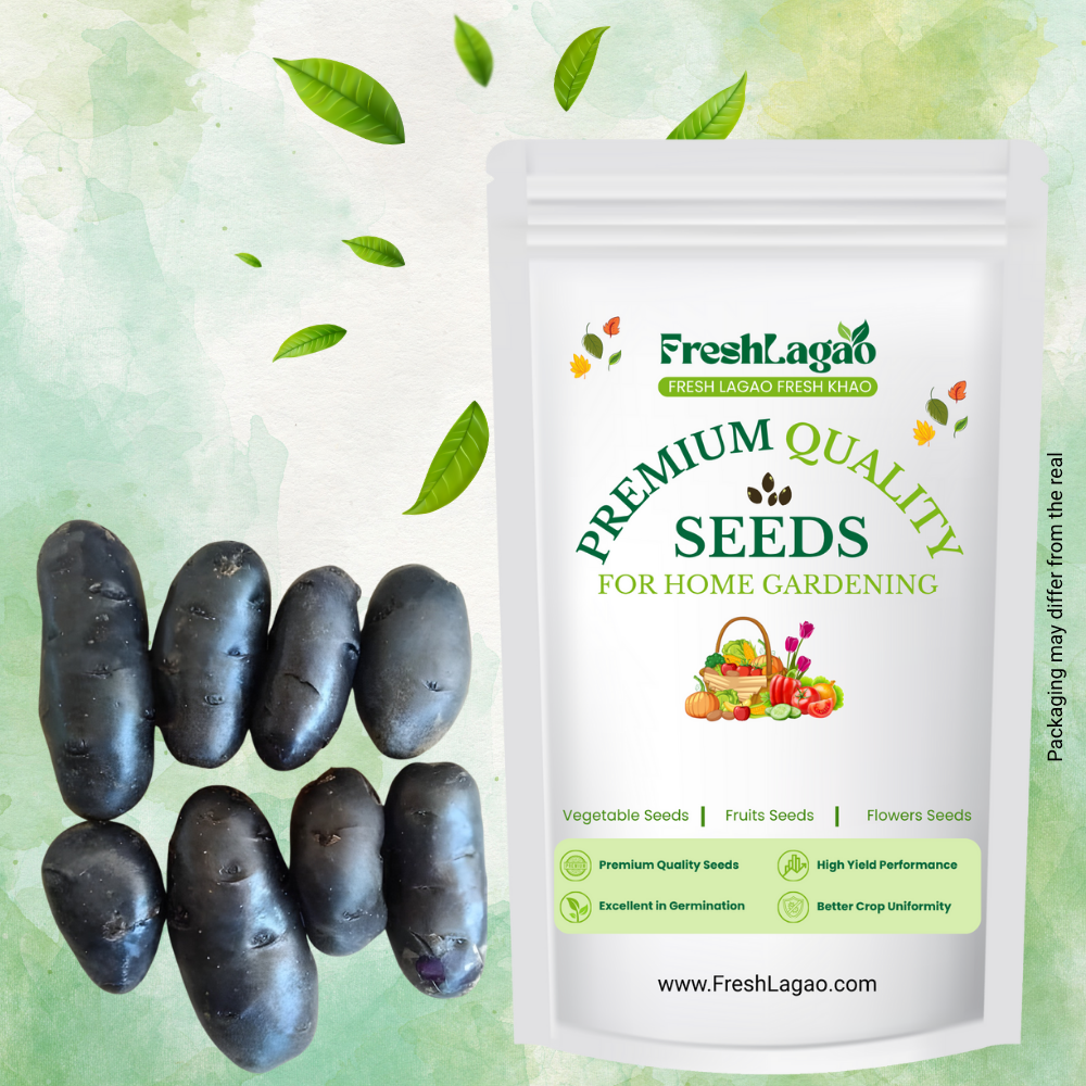 Black Potato Seeds For Kitchen