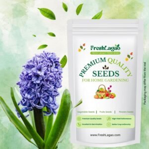 Hyacinth Red Flower Bulbs