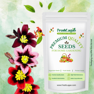 Sparaxis Mixed Color Flower Bulbs (05N)