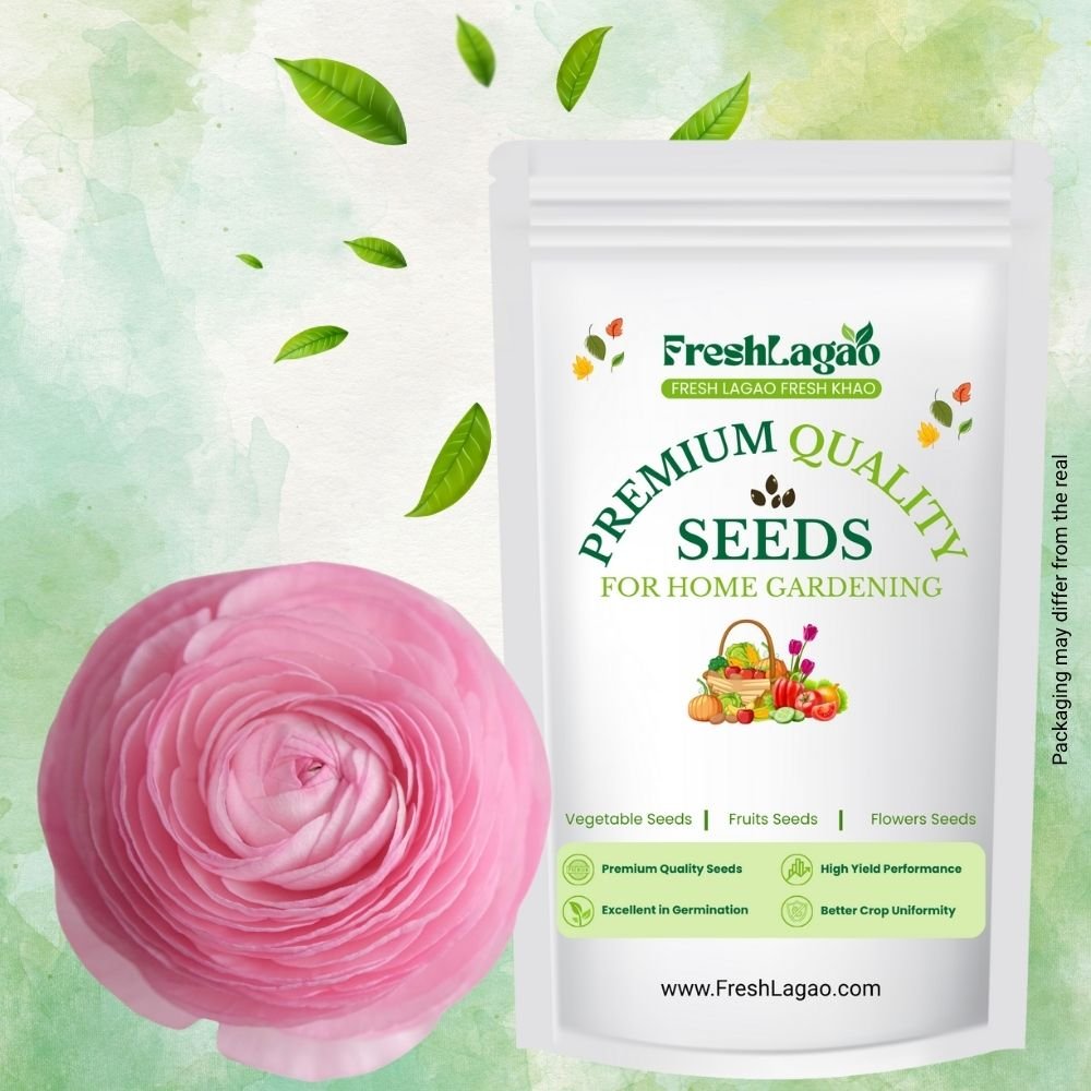 Ranunculus Pink Flower Bulbs