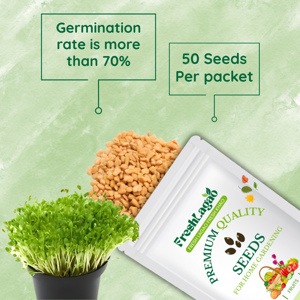 Red Mustard Microgreen Seeds - Image 2