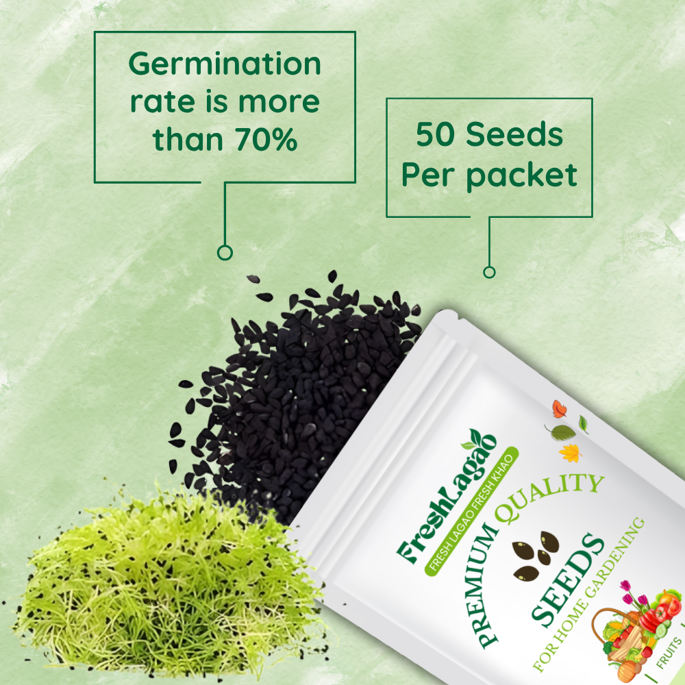 Onion Microgreen Seeds (25g) - Image 2